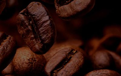 6TH BRAZILIAN SPECIALTY COFFEE MISSION