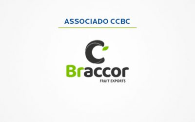 De olho no exterior, Braccor reestrutura processos