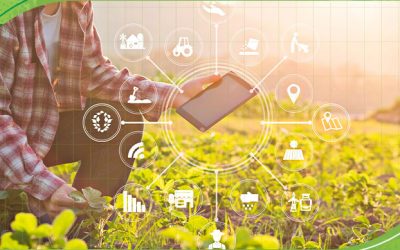A transformação digital chega ao campo