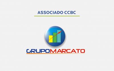 Grupo Marcato entra no Brasil Hub