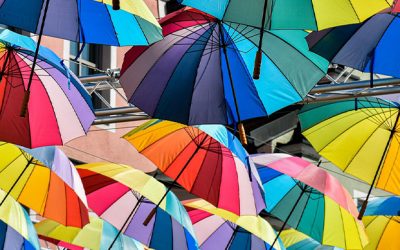 Diversidade em todas as suas formas