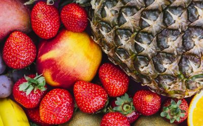 Paraná conquista empresários canadenses ao participar da maior feira de alimentos e bebidas da América do Norte