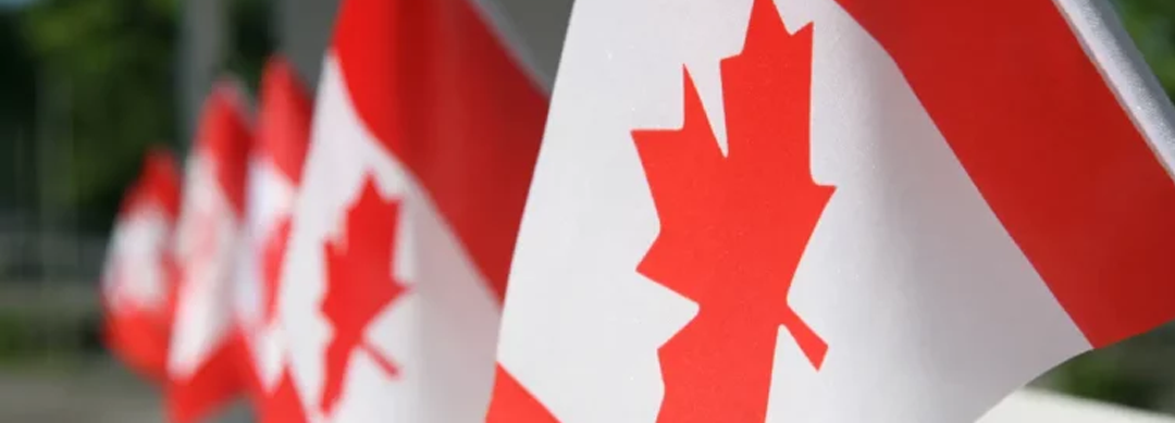 Specialized consultancy makes it easier to successfully start a business in the Canadian market