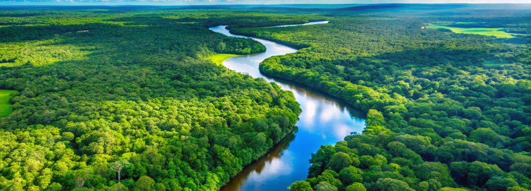 CCBC amplia atuação em sustentabilidade e apoia expedição brasileira rumo à COP30