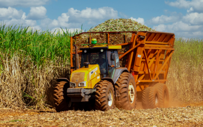 Arbitragem no agronegócio cresce 200% nos últimos quatro anos