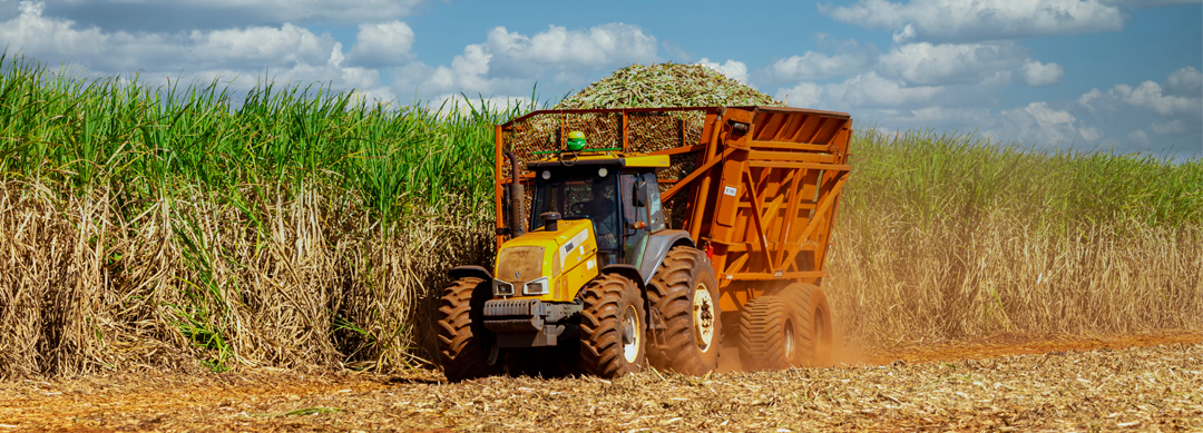 Arbitragem no agronegócio cresce 200% nos últimos quatro anos